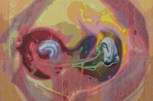 La Galeria Juana de Aizpuru presenta l\'obra de Markus Oehlen