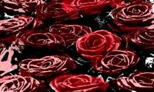 Jordi S. Carrera presenta el 2 de maig \