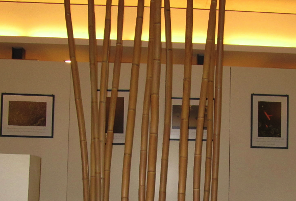 El fotógraf Enrique González presenta \