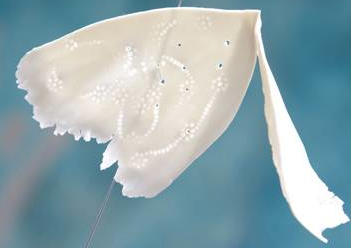 La Fundació Coll Bardolet exposa obres de Kira Ball