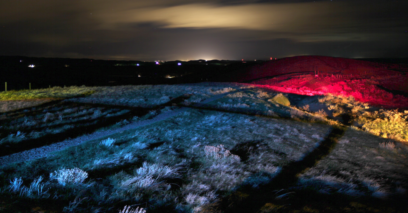 Els projectes guardonats de \