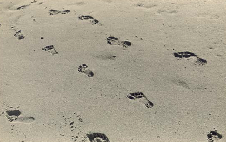 La Sala Dalmau presenta \