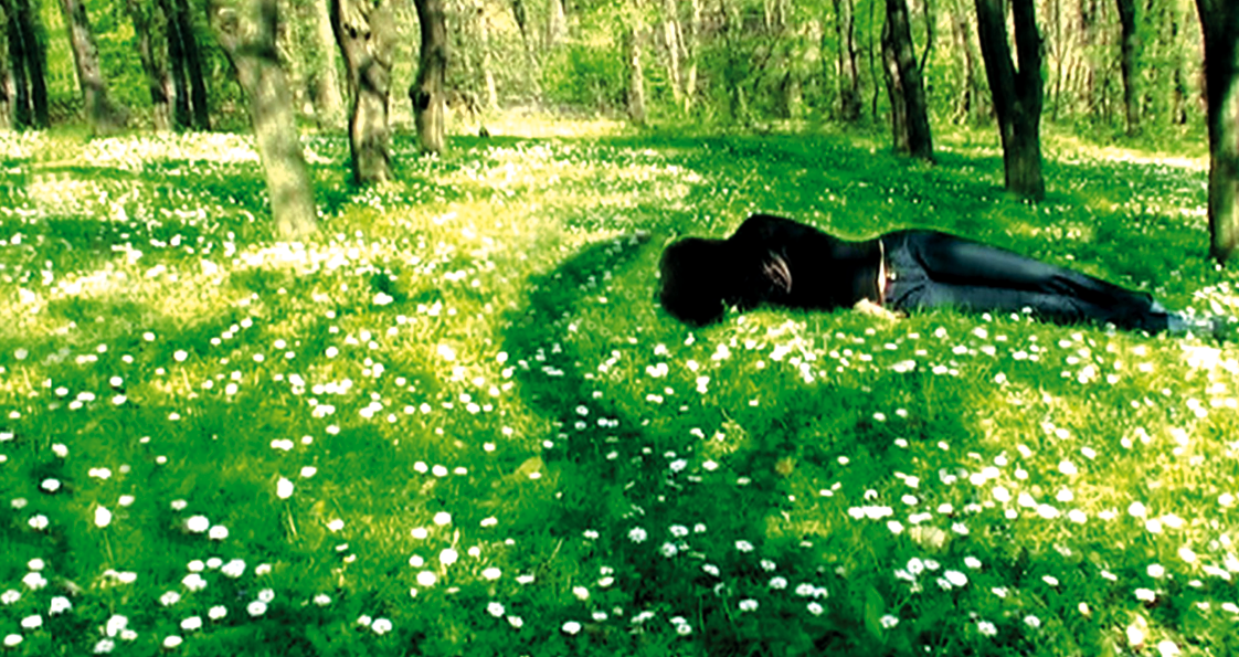 Marina Vassileva transforma la natura morta al Casal Solleric