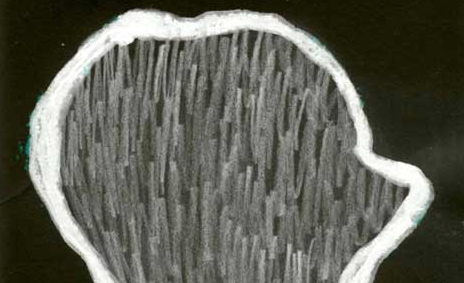 El COAC presenta l\'exposició \