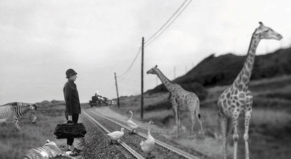 L\'italià Simone Mestra guanya el certamen fotogràfic \