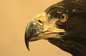 Twin Gallery inaugura l\'exposició \