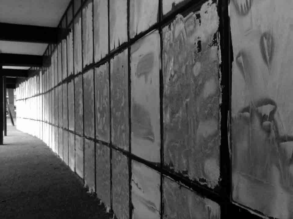 Moritz Küng, el destituït director del Canòdrom, s\'acomiada a través de l\'AAVC