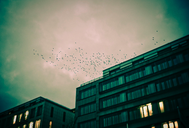 Fotómata, Cíclope i Eclipsi sumen esforços