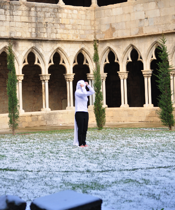 L\'art d\'acció europeu busca la seva memòria a Girona