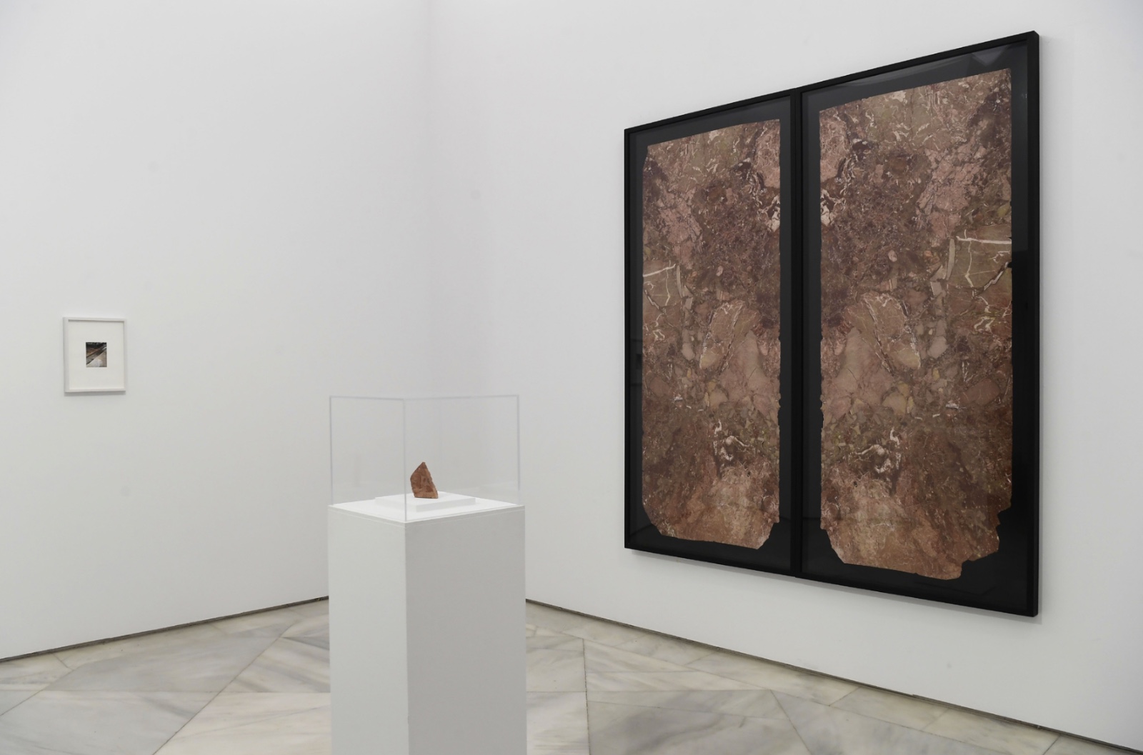 Amie Siegel: arenas movedizas