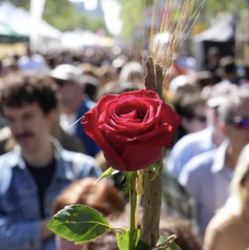 Captura de pantalla 2025-04-30 a les 17.35.51