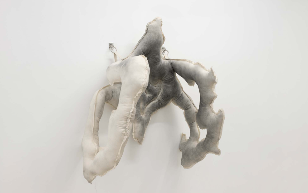 Captura de pantalla 2025-08-07 a les 15.48.28