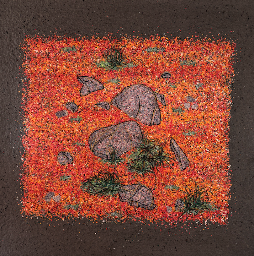 Captura de pantalla 2025-08-05 a les 16.26.01