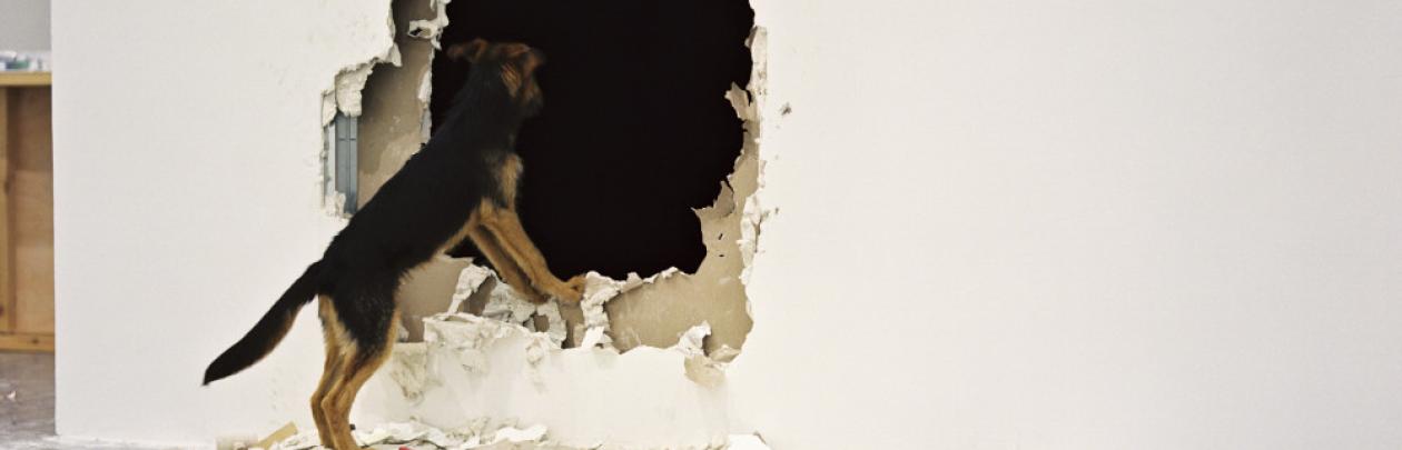 Alvaro Perdices_Sin  titulo_2012