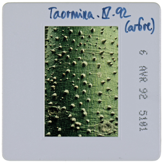 Captura de pantalla 2025-08-26 a les 16.57.02