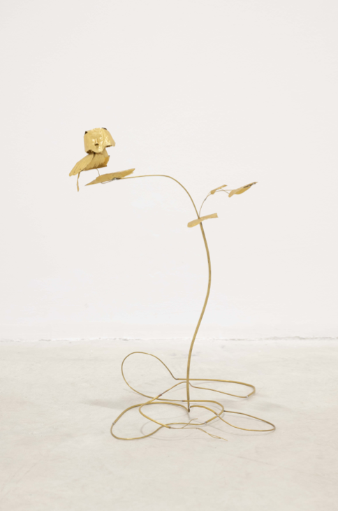 Captura de pantalla 2025-09-05 a les 10.43.01