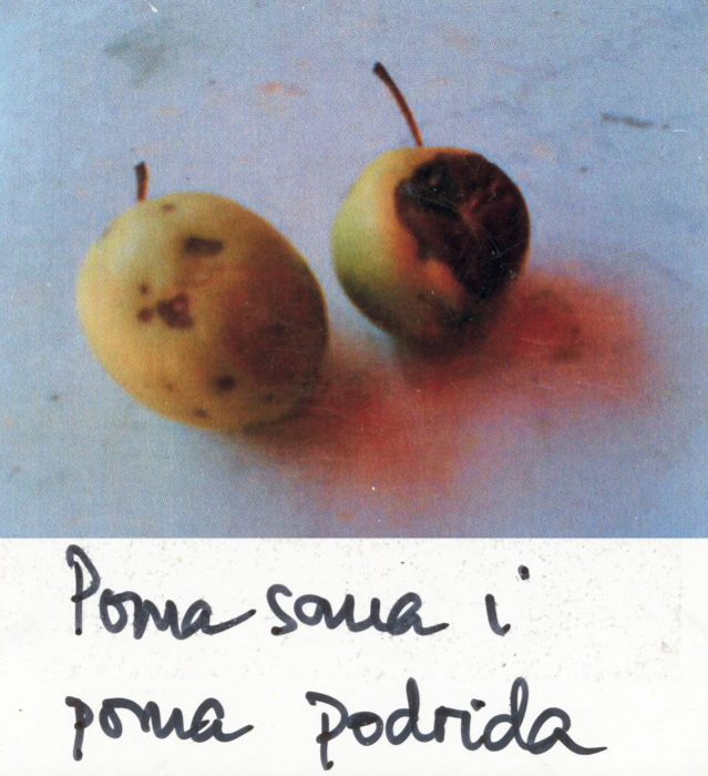 Captura de pantalla 2025-09-11 a les 18.24.37