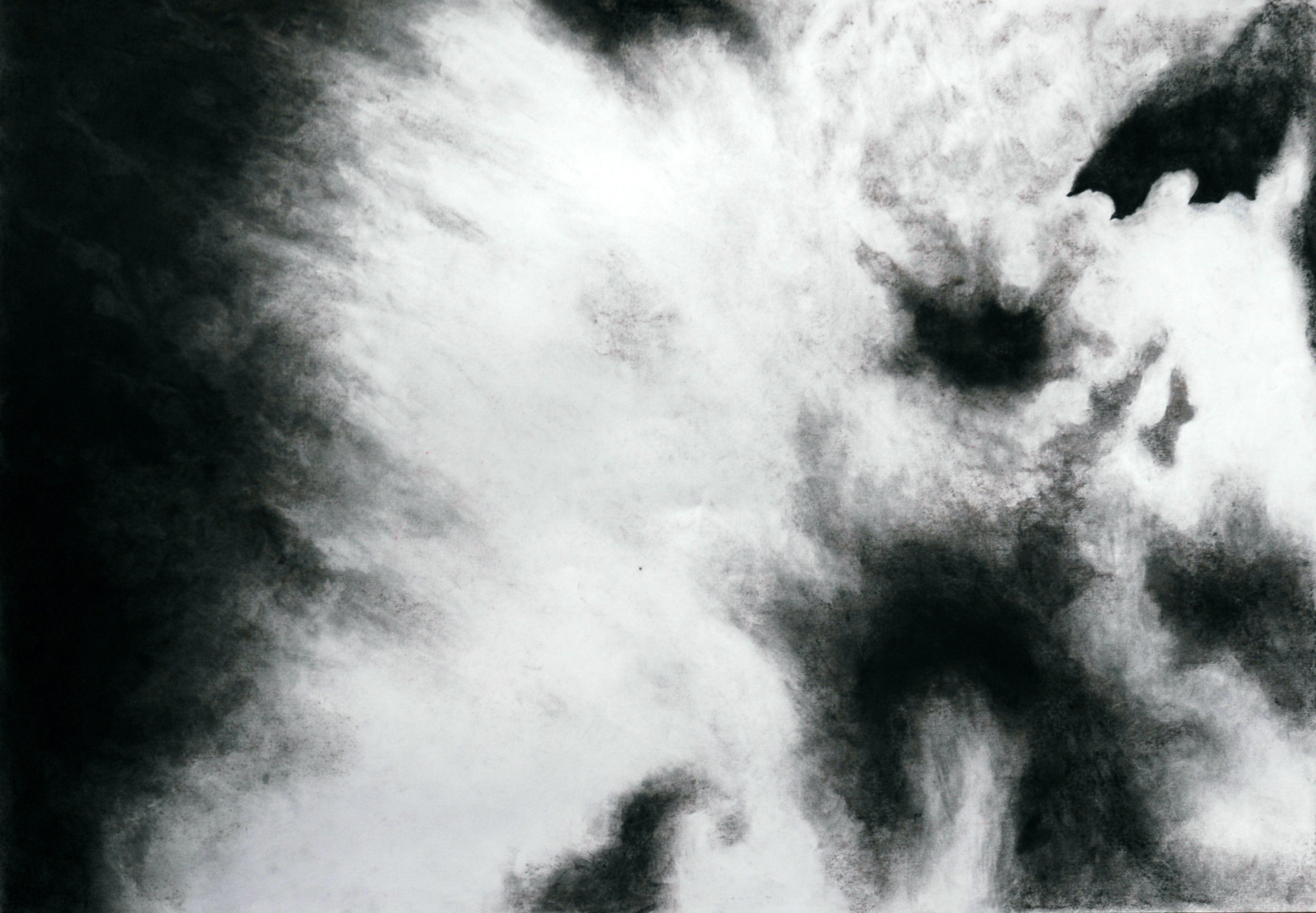 8 ©Nathalie Karagiannis