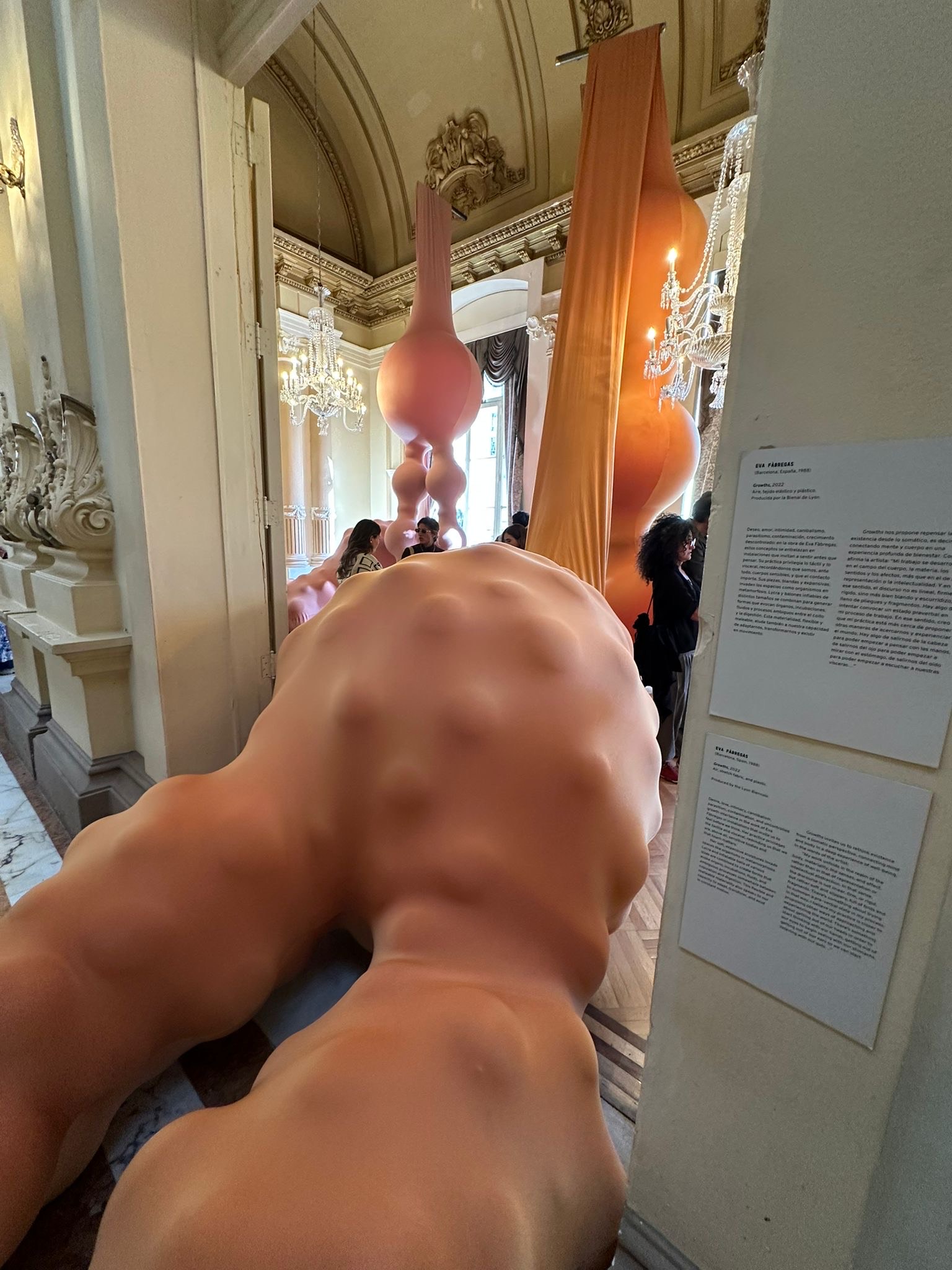 b3086438-f936-4344-9853-02b489a81fc1