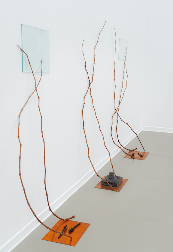 Captura de pantalla 2025-09-22 a les 12.04.31