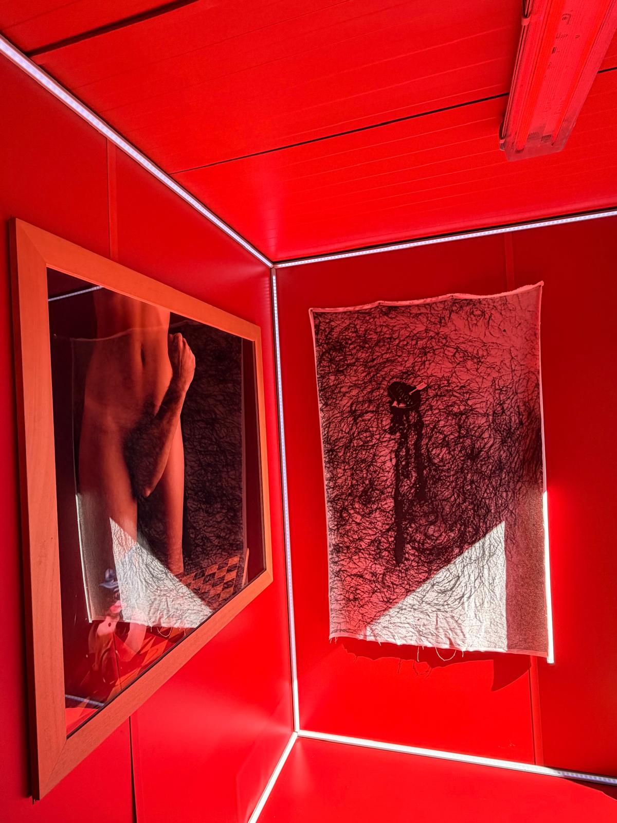 bae81a4e-e473-4611-add4-bb9be70ebf54