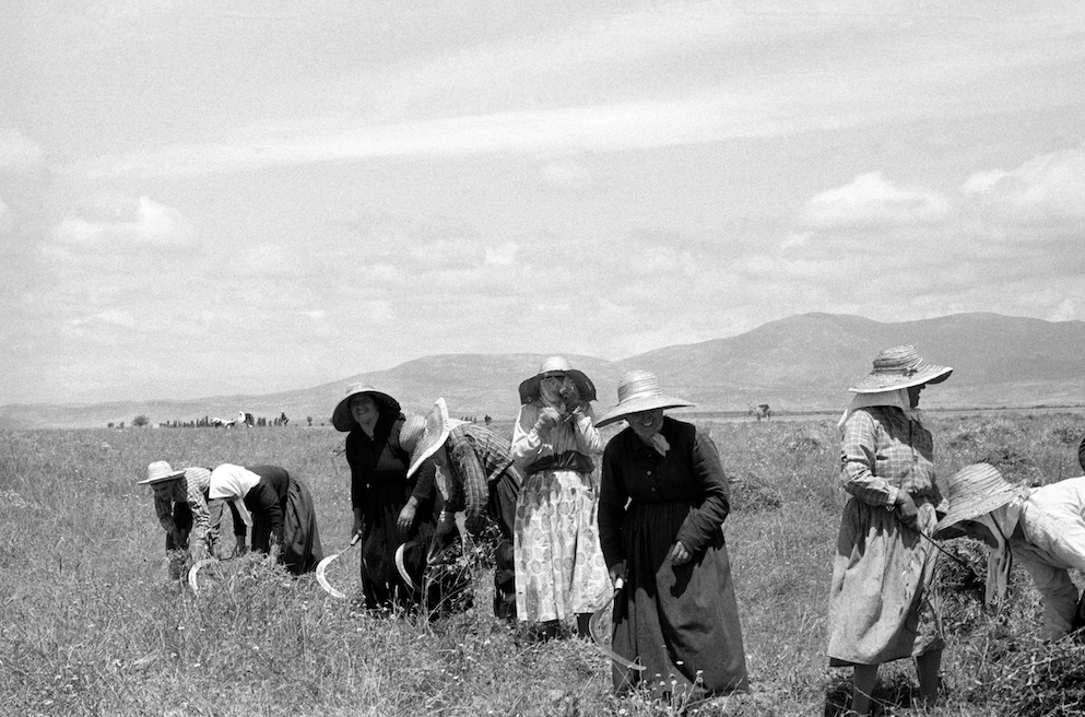 Captura de pantalla 2025-10-30 a les 16.21.30