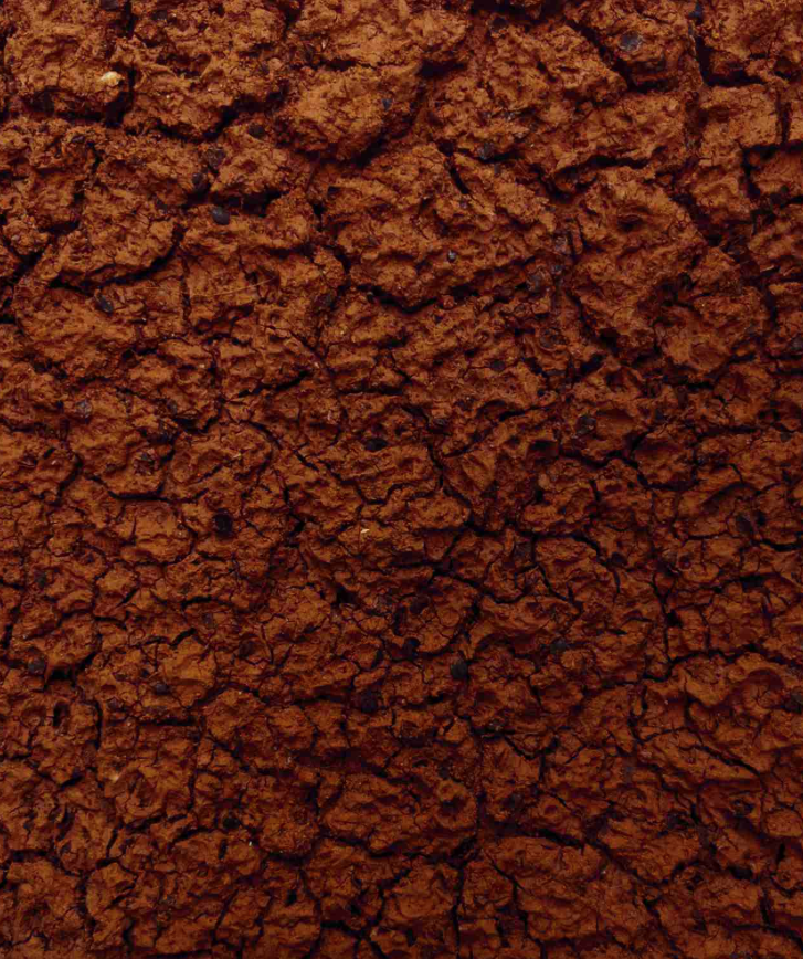 Captura de pantalla 2025-10-31 a les 16.12.09