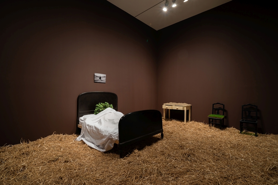 Fina Miralles. Translacions. Llit-arbre, 1973. MACBA, 2020. Foto Miquel Coll