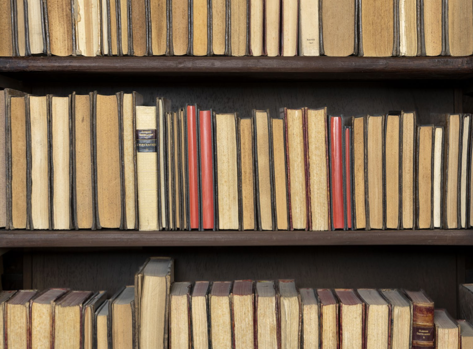 Captura de pantalla 2025-11-11 a les 14.11.59