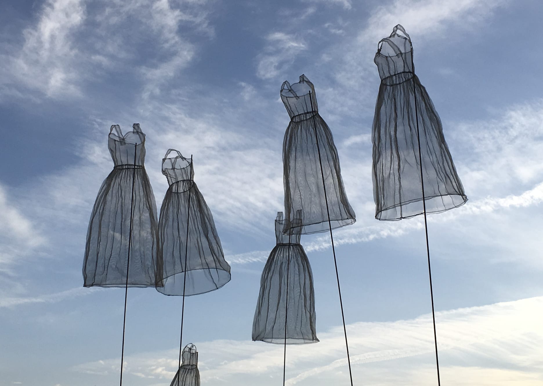 PHOTO-2025-11-12-14-35-09