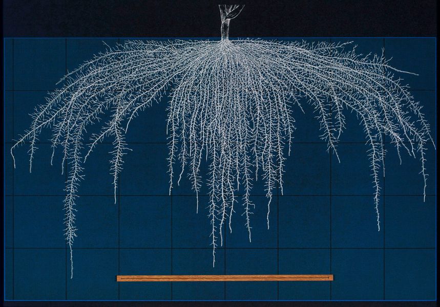 80a01f99-dc95-42c1-8bc2-2cb6b53f442e