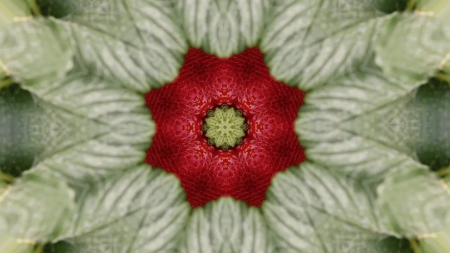 Captura de pantalla 2025-11-14 a les 14.39.31