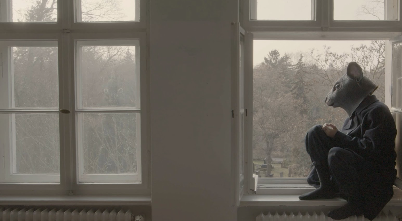 Captura de pantalla 2025-11-17 a les 11.29.37