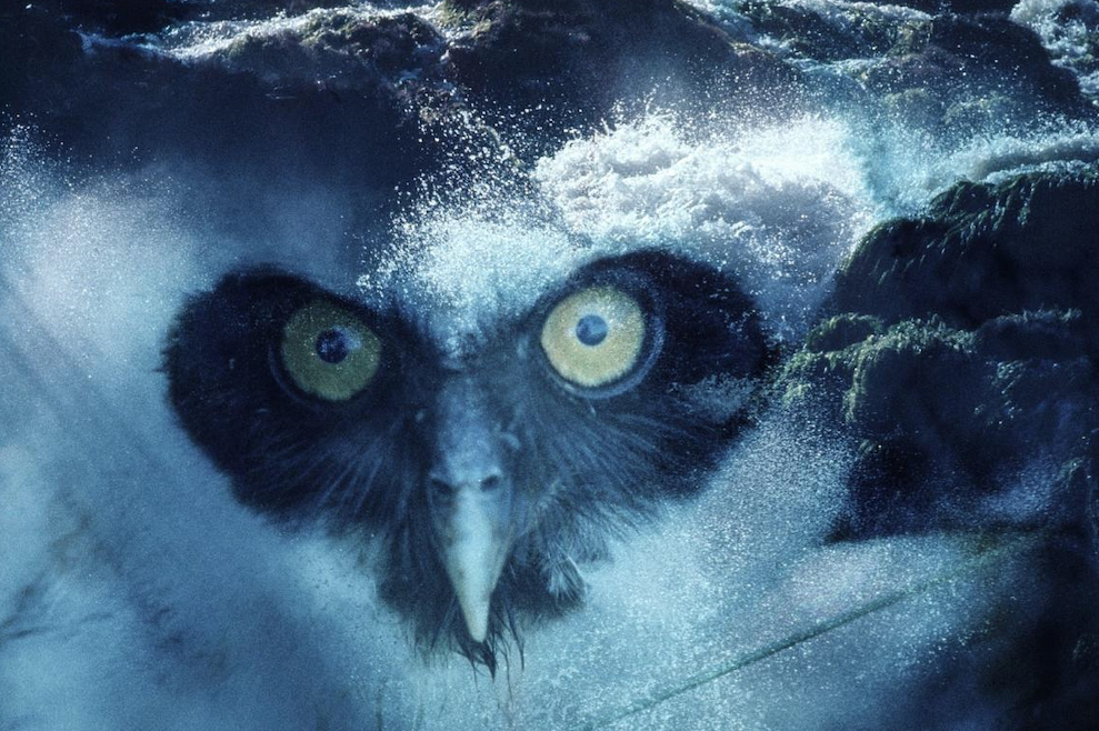 Captura de pantalla 2025-11-27 a les 12.10.32