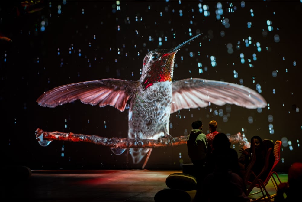 SomosNaturaleza_frame_big5