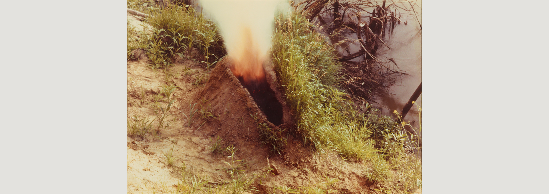 Sea Garden como paisajes en tensión entre el cuerpo, la ecología y el límite