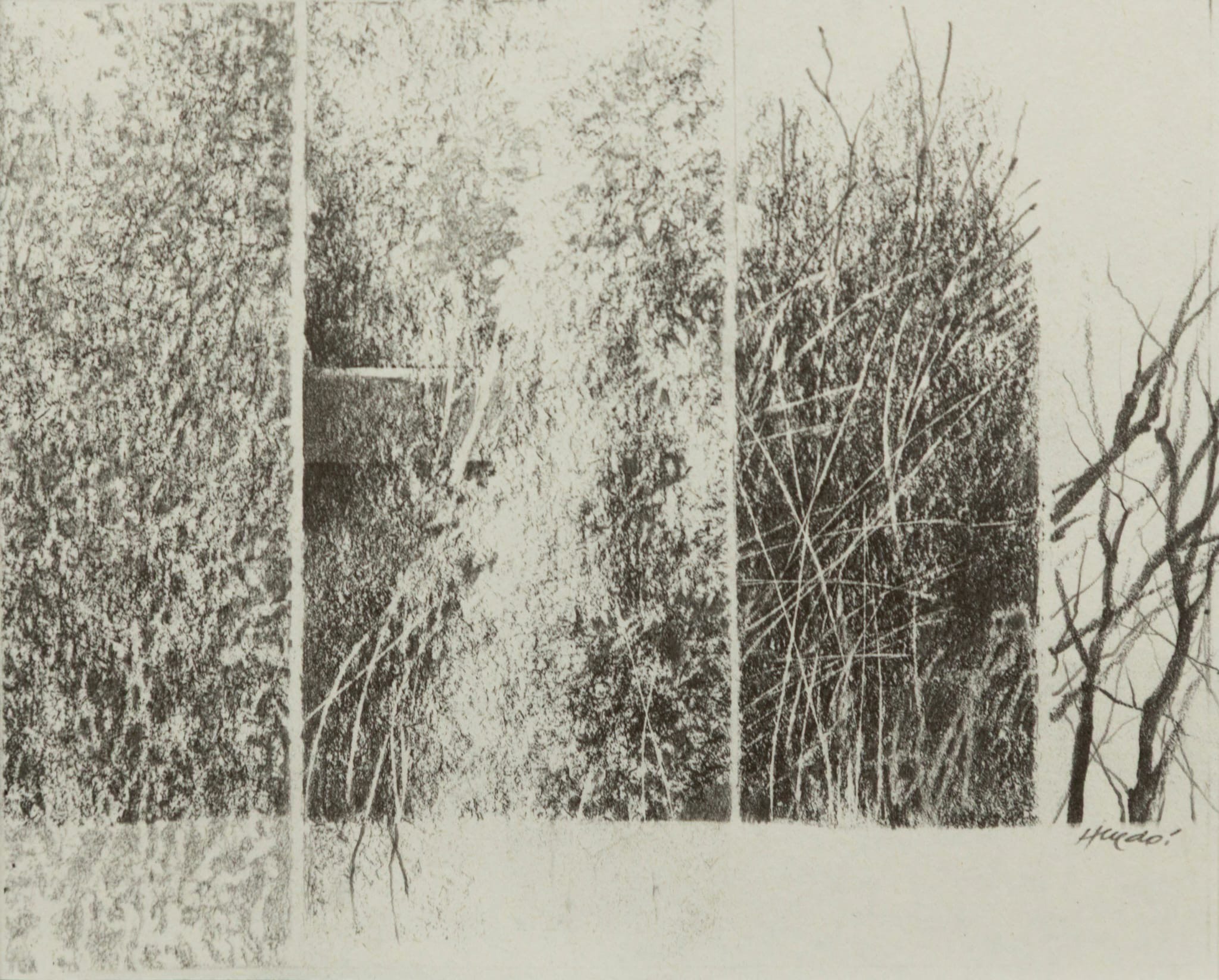 The silent poetry of drawing with Vicenç Huedo at the Valvi Foundation