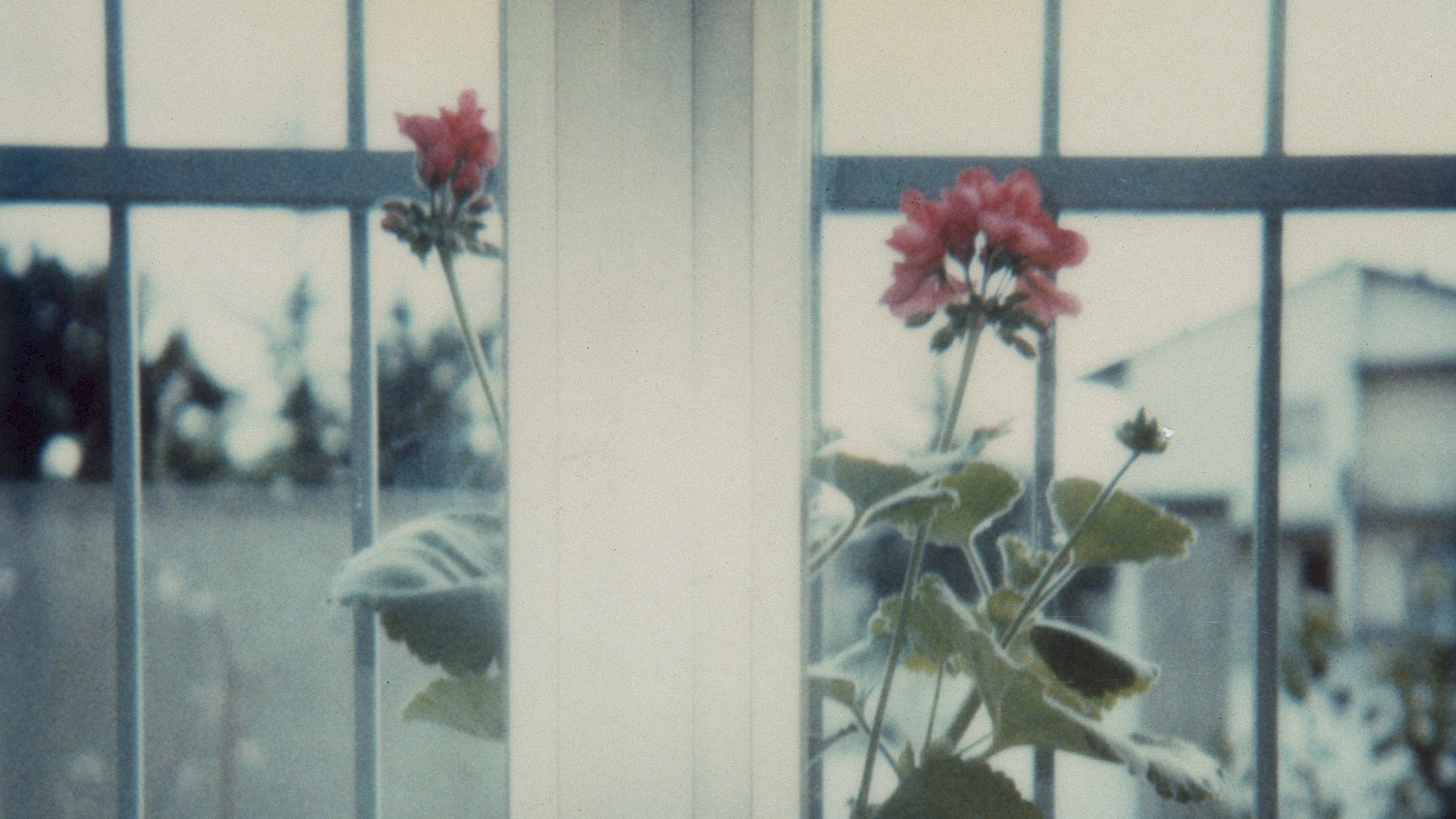 Luigi Ghirri: aprender a mirar el mundo