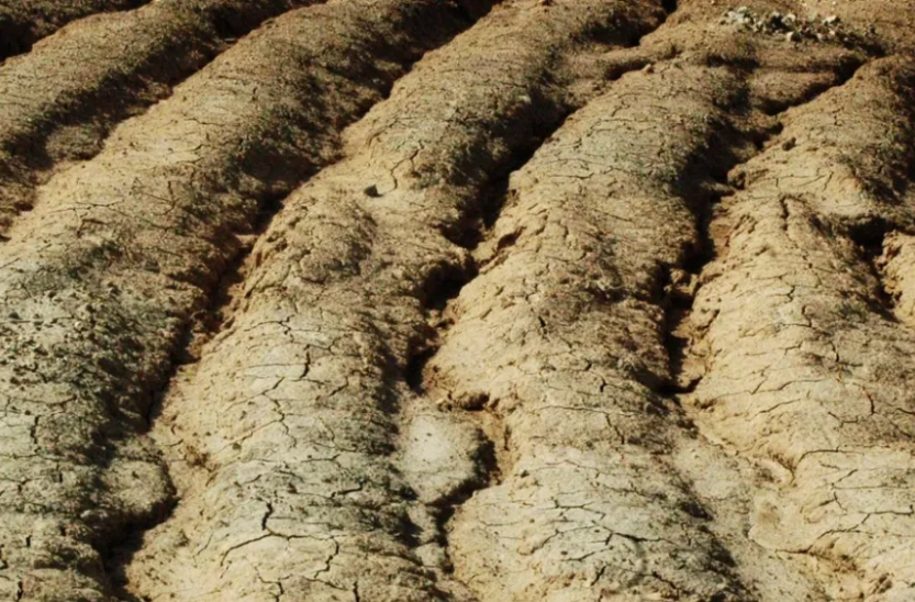 \'En trànsit\' on Emili Biarnès porta la ceràmica a l’experimentació al Terracotta Museu