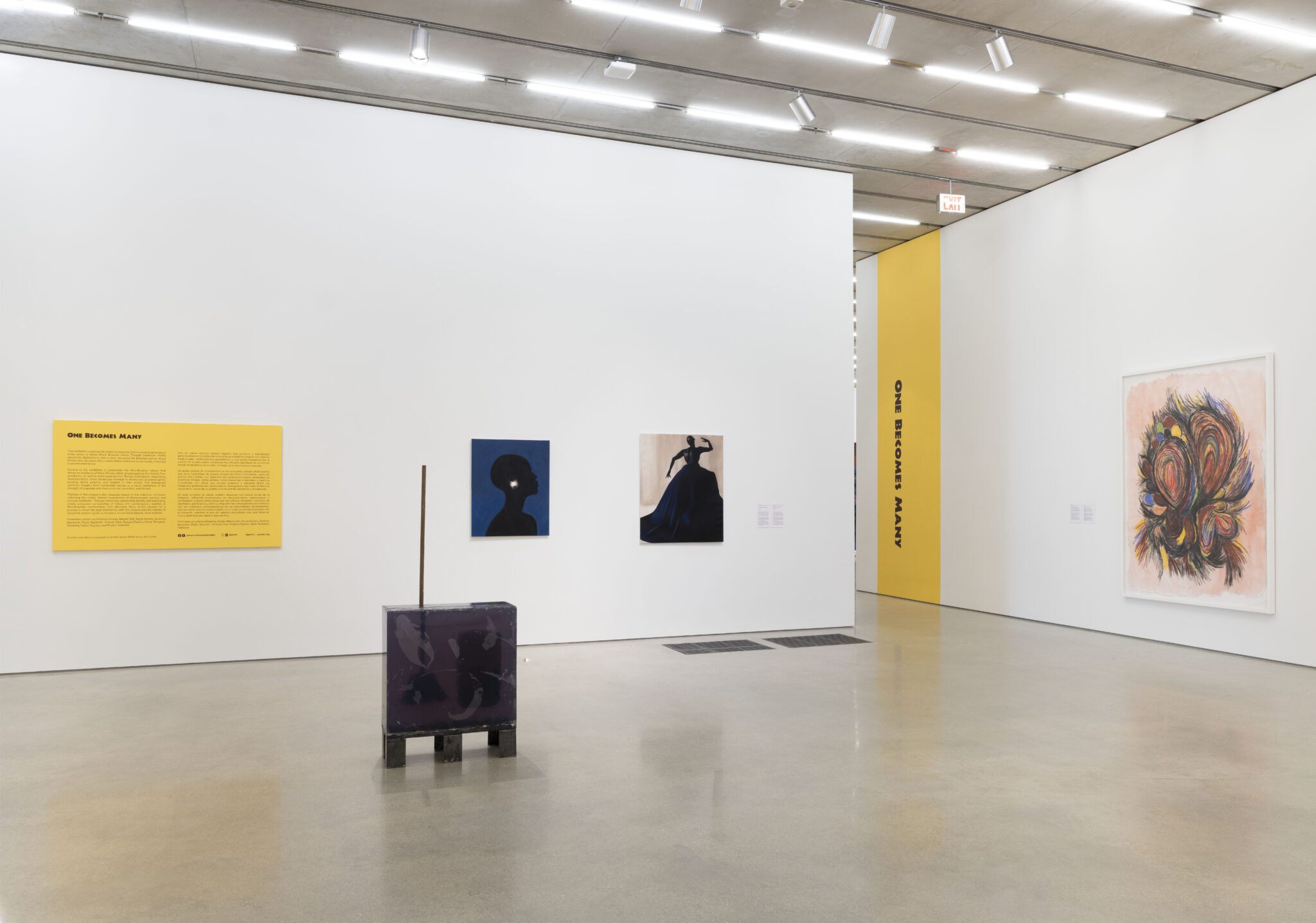 Uno se vuelve muchos en el Pérez Art Museum Miami: el rito y el museo