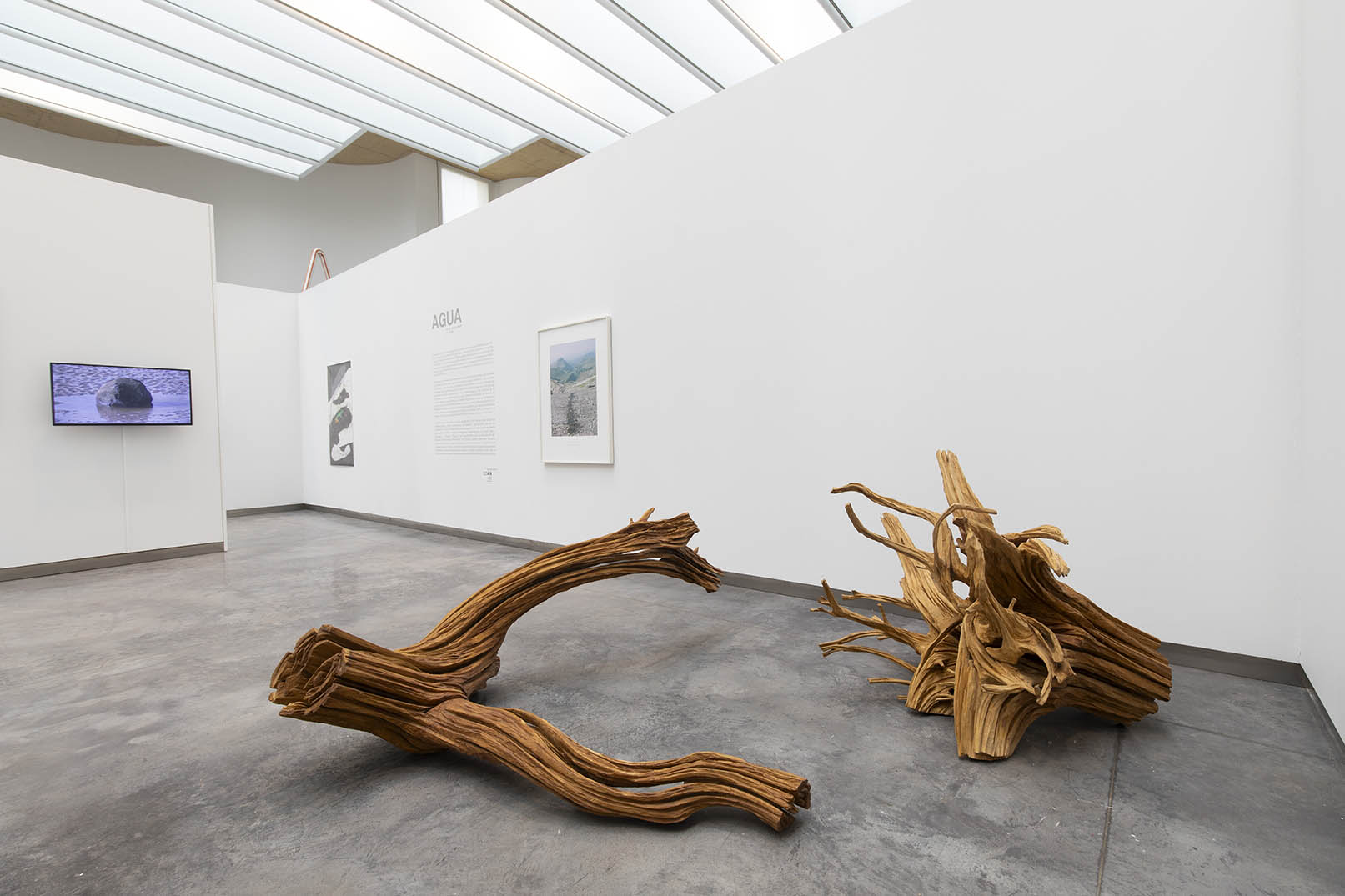 Agua y memoria: un diálogo entre arte y naturaleza en el CDAN