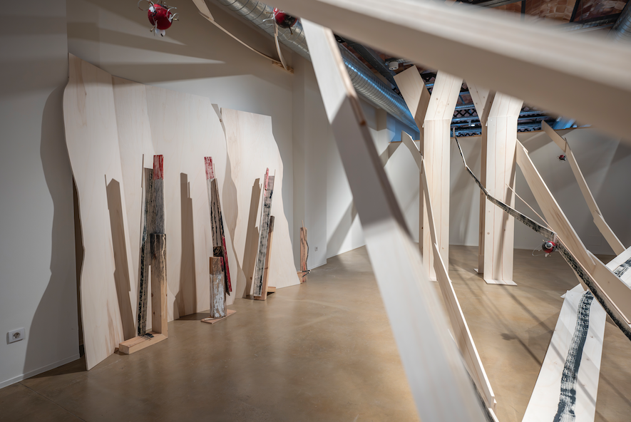 Antoni Forcada porta la fragilitat i l’ànima del paisatge a Can Mario