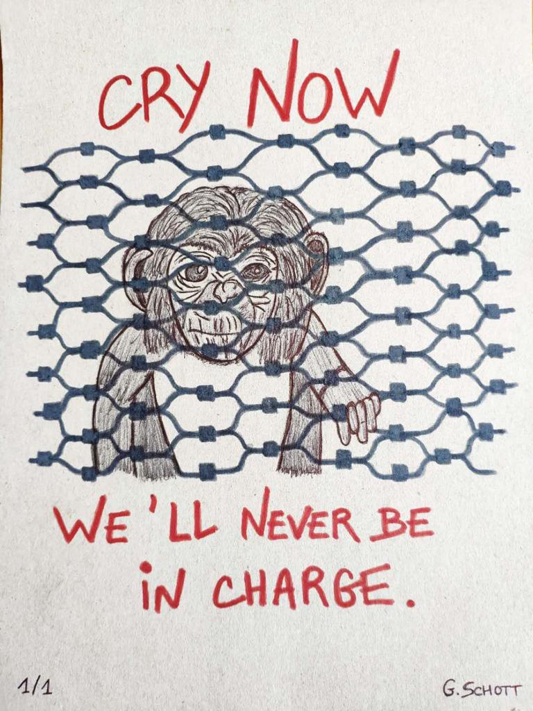 Del estudio a la Supervivencia