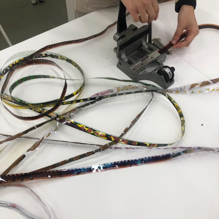 La natura filma amb Cinebotànica