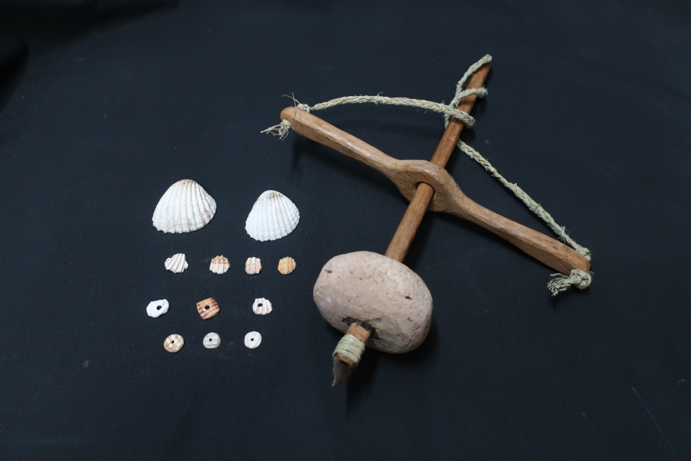 El Museu de les Terres de l’Ebre: Natura, memòria i mirades contemporànies