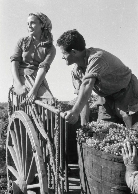 Antoni Campañà: la recuperació d\'un llegat fotogràfic inèdit al Museu de Sant Cugat
