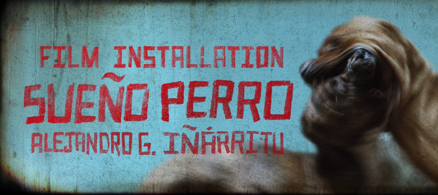 Sueño Perro: una arqueología sensorial del cine de Alejandro G. Iñárritu