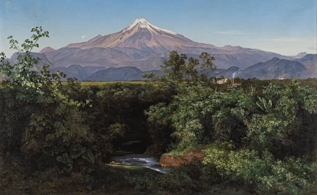 El jardín secreto de Velasco: arte, ciencia y naturaleza en el Museo Kaluz