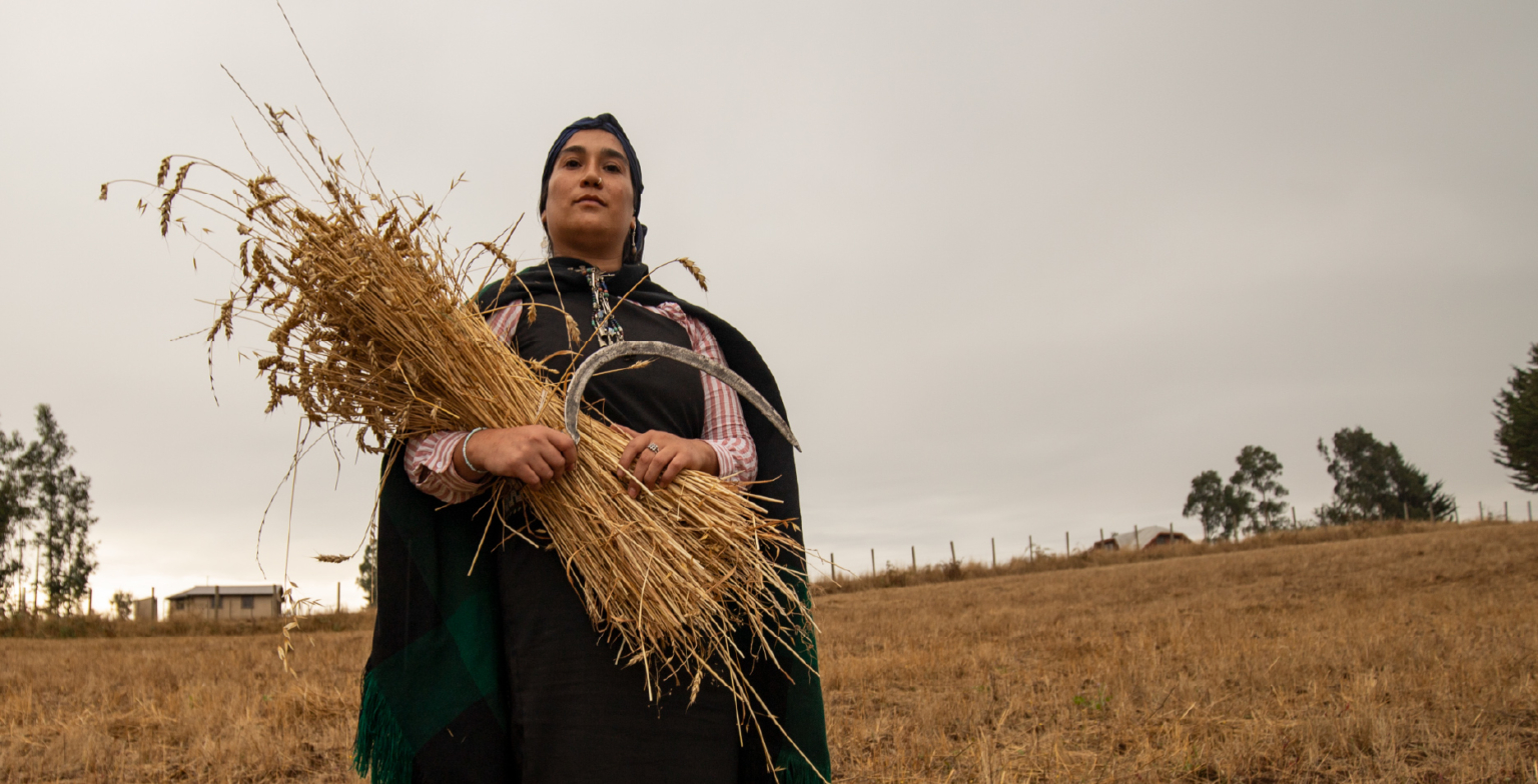 Materia, memoria y territorio: el MAC inaugura su primer ciclo expositivo de 2026