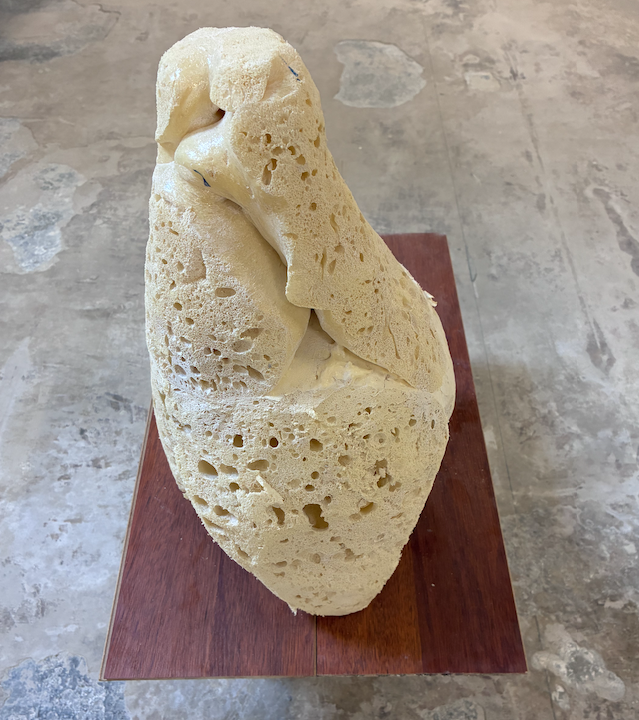 El pes de la fragilitat 